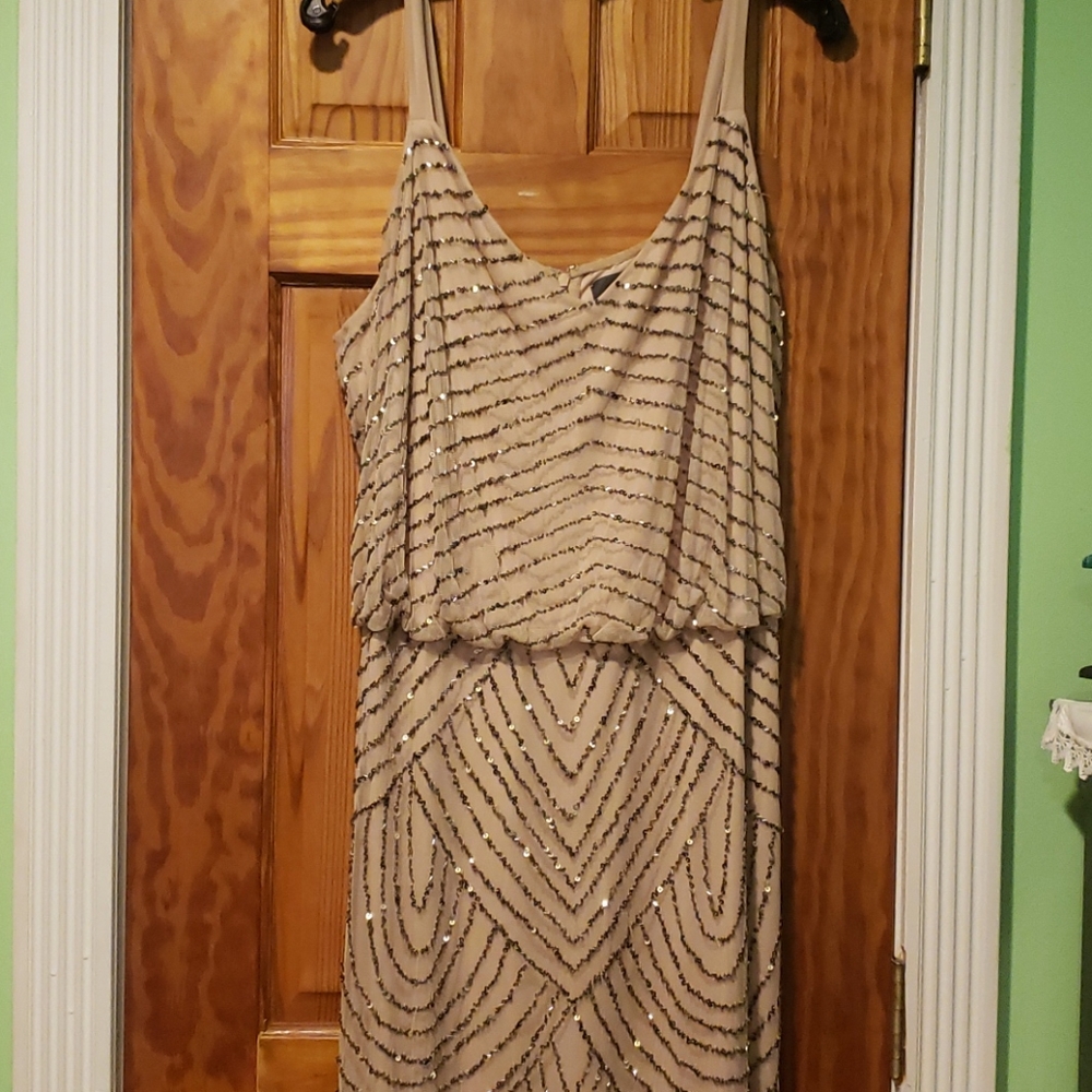 Adrianna Pappell Blouson Sequin Gown